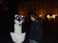 DSCF2844.JPG